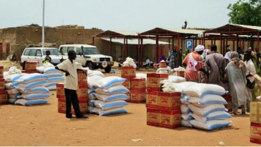 CICR au Mali : Une action humanitaire multiforme au cœur des zones de conflit