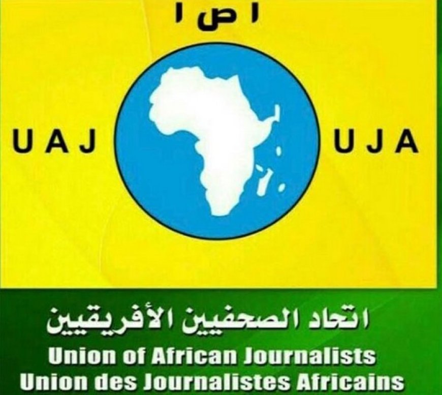 62è session de formation des jeunes journalistes africains au Caire Une opportunité pour renforcer les interactions !
