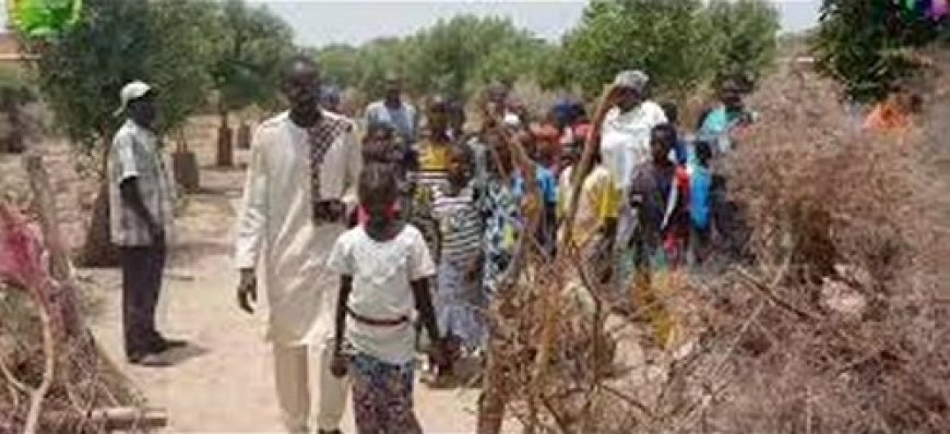 Partenariat Office du Niger – AICCRA – AfricaRice : La zone de Niono et le SEXAGON reçoivent leurs équipements et semences climato-intelligentes