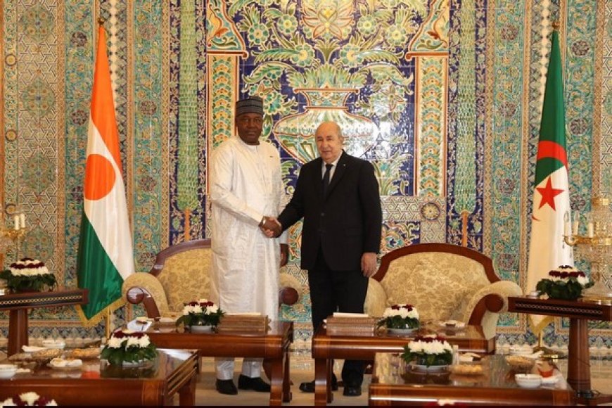 Ce que je pense :   De la visite du Président TIANI en Alger : Le Général Tiani à Alger pour briser les chaînes de l’isolement