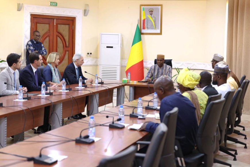 Sahel : La « Nouvelle approche » de l’UE
