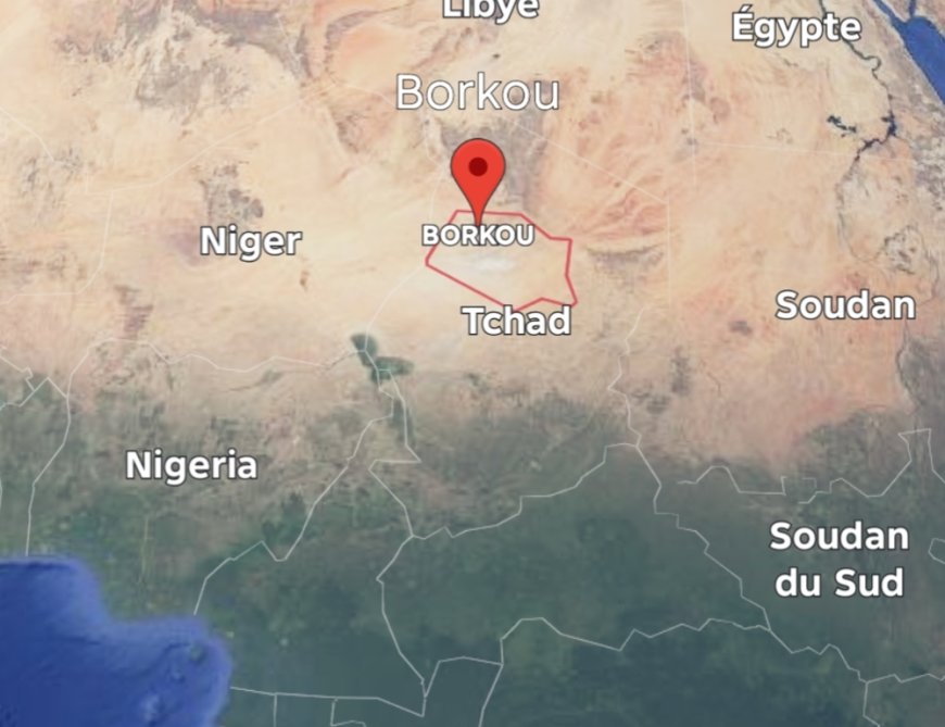 Tchad: quatre officiers tués dans une attaque de coupeurs de route