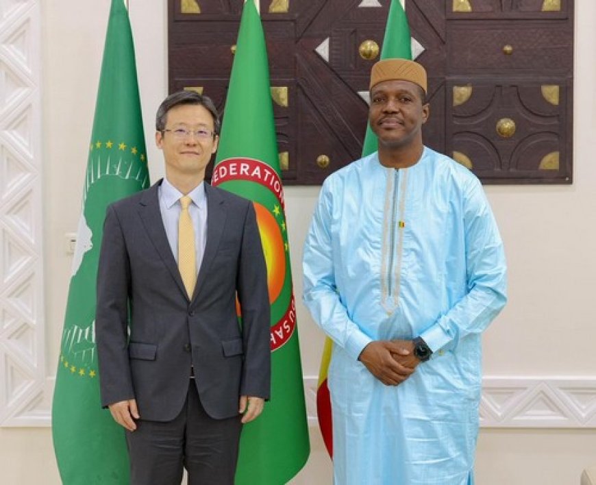 Coopération Mali-Chine :  Le Premier ministre reçoit le nouvel ambassadeur de Chine au Mali, S. E. M. Li Xiang