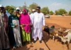 Fête de l’Aïd el-Fitr 2026 : Le Gouvernement Remet 100 Bœufs aux Déplacés Internes à Bamako