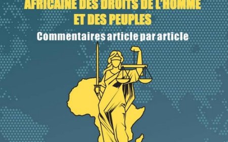 Littérature : Le guide pratique du protocole portant création de la Cour africaine des droits de l'Homme et des peuples