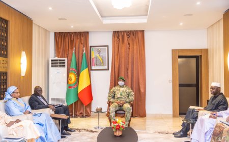 Victoire judiciaire du Mali : le Président Assimi Goïta reçoit le pool d’avocats après l’arrêt de la Cour de justice de l’UEMOA