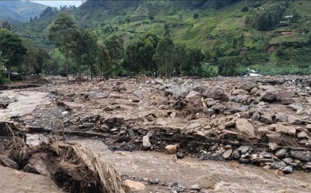 République démocratique du Congo: plus de 100 morts dans un glissement de terrain survenu dans une mine