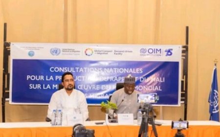 Pacte mondial pour des migrations : Des experts en conclave au Mali