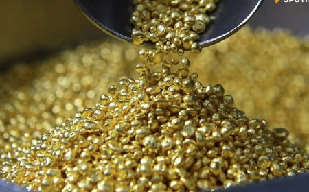 Le Mali veut une police spéciale pour lutter contre l'exploitation illégale de l'or