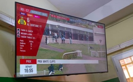 Courses hippiques : Les parieurs maliens vibrent au rythme de Casablanca