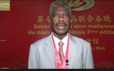 Une Contribution de Pr. Yoro Diallo :  2026 : année des échanges culturels et humains sino-africains