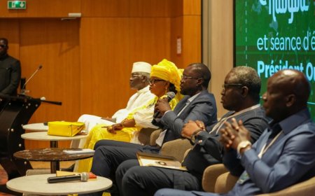 Sénégal : après Diomaye, Sonko mobilise sa coalition