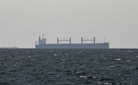 Trump fait pression sur ses alliés pour envoyer des forces dans le détroit d’Ormuz