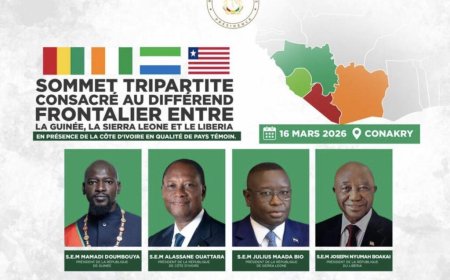Sommet tripartite à Conakry pour désamorcer les tensions frontalières