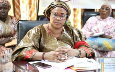 Culture : 11ème session du Conseil d'Administration du FAIC pour redynamiser le cinéma malien et valoriser notre culture à travers l'audiovisuel