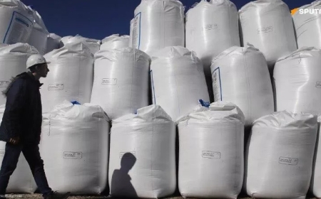 Conflit en Iran: l'Afrique sera la plus touchée par les pertes d'importations d'engrais - FAO