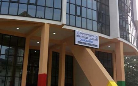 La justice guinéenne annonce l’inculpation et placés en détention de 7 maliens, 2 nigériens, 1 burkinabé et 1 guinéen  pour complicité de terrorisme…