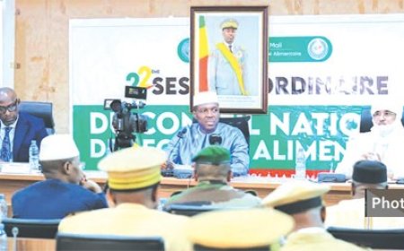 Conseil national de sécurité alimentaire : Une assistance d’urgence de près de 20.000 tonnes de céréales annoncée