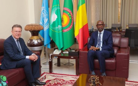 Diplomatie :  Le Ministre Abdoulaye DIOP s’entretient avec l’Émissaire spécial autrichien sur le renforcement du partenariat bilatéral