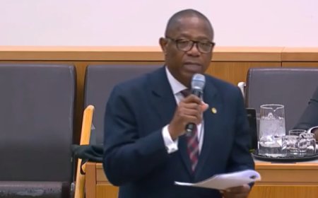 Le Ghana accuse les États-Unis de «normaliser» l'effacement de l'histoire des Noirs