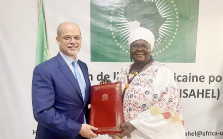 Groupe des ambassadeurs africains  accrédités au Mali : L'Ambassadeur Driss Isbayene élu président