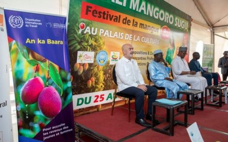 L’ambassadeur d’Espagne Antonio Guillen Hidalgo au festival de la mangue "L'Espagne restera un partenaire engagé aux côtés du Mali pour promouvoir une agriculture durable…"