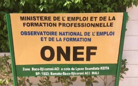 Mali : 65 503 emplois créés en 2025
