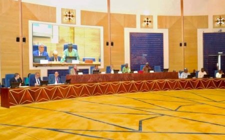 Commission mixte Niger-Algérie : Un cadre de coopération qui interroge l’AES