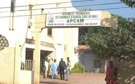 Présidence de l’APCAM :  La succession de Sanoussi Bouya Sylla  ouverte…