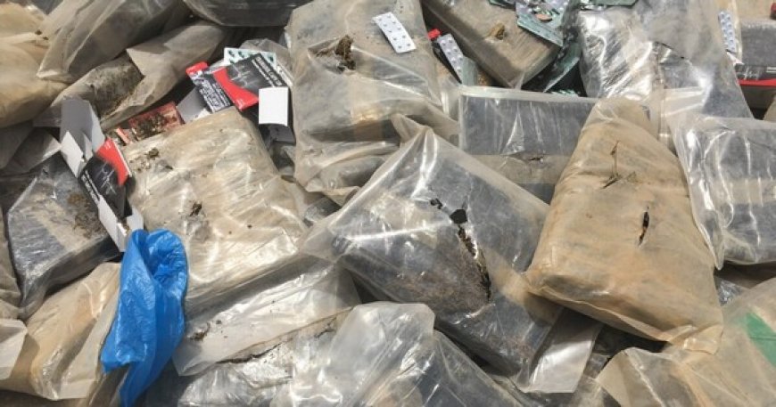Drogue au Mali : 25% des consommateurs sont des filles