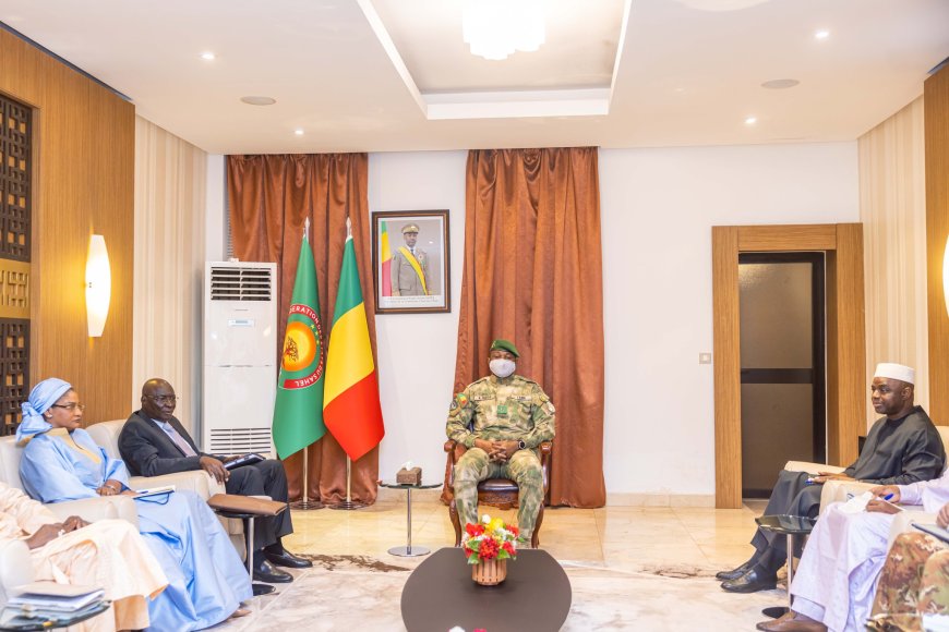 Victoire judiciaire du Mali : le Président Assimi Goïta reçoit le pool d’avocats après l’arrêt de la Cour de justice de l’UEMOA