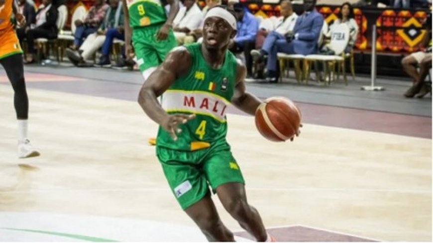 Basket-Eliminatoires Coupe du Monde, Zone Afrique : Comment rallier le Qatar en 2027 ?