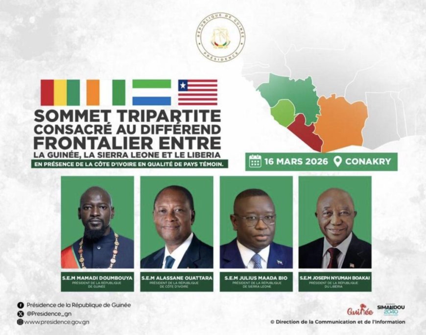 Sommet tripartite à Conakry pour désamorcer les tensions frontalières