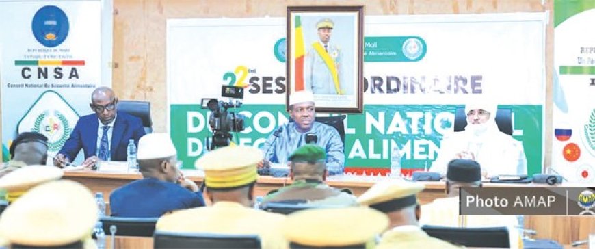 Conseil national de sécurité alimentaire : Une assistance d’urgence de près de 20.000 tonnes de céréales annoncée