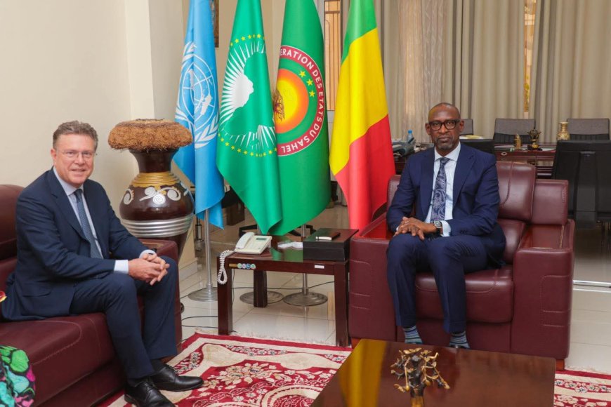 Diplomatie :  Le Ministre Abdoulaye DIOP s’entretient avec l’Émissaire spécial autrichien sur le renforcement du partenariat bilatéral