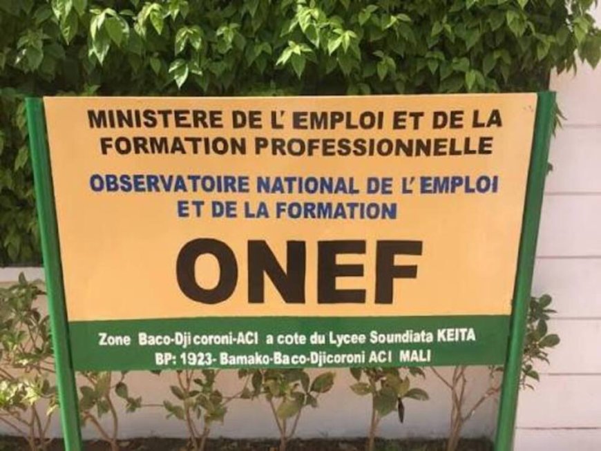 Mali : 65 503 emplois créés en 2025