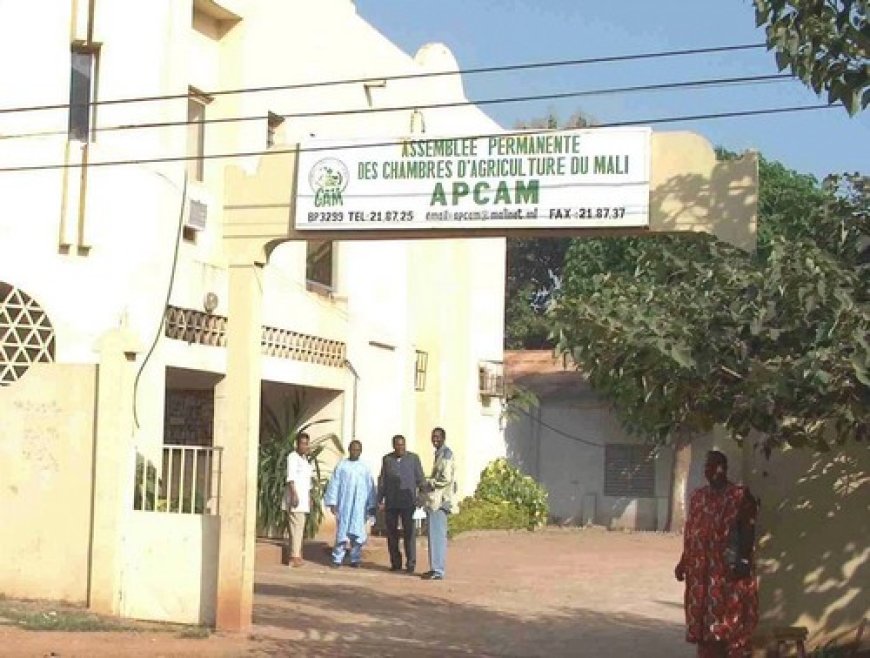 Organisations Professionnelles Agricoles du District de Bamako : Le processus électoral sous le feu des critiques, des producteurs réclament son annulation