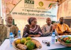 CNOP Mali : un « week-end bio » pour garantir une alimentation saine aux Bamakois