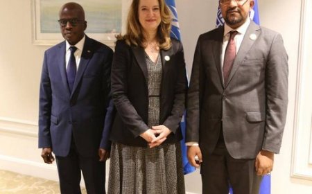 Migration : le Mali renforce sa position au Caire lors d’une rencontre ministérielle africaine