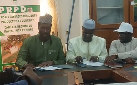 Remise de Véhicules au Projet Paysages Résilients Productifs et Durables (PRPD) par la FAO