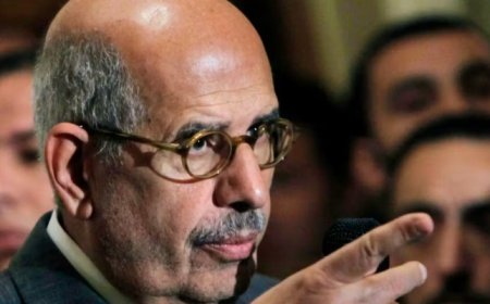 «Arrêter cette folie»: Le prix Nobel et ancien chef de l'AIEA appelle à stopper Trump