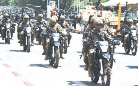 Bataillon d’intervention rapide : Réponse malienne à la guerre asymétrique