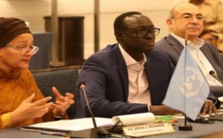 Réunion publique du Conseil de sécurité des Nations-Unies :  L’ambassadeur Issa Konfourou pourfend les terroristes et leurs sponsors étrangers