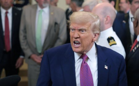 Les démocrates peuvent-ils destituer Trump ?