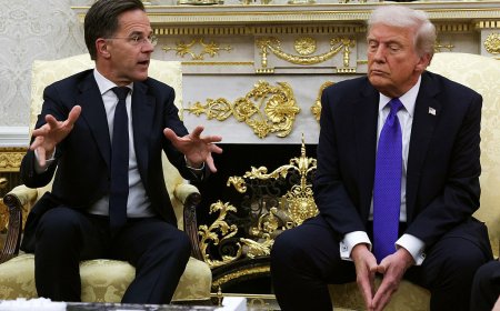 Trump lance une «tirade d’insultes» contre Rutte, selon Politico