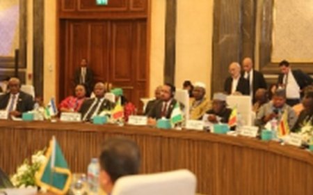 Pacte mondial sur la migration : Les pays champions s’harmonisent