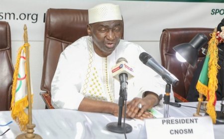 Habib Sissoko lors de l’AGO 2025 du CNOSM : 	"Le mouvement olympique est facteur de stabilité et de promotion des valeurs humanistes"