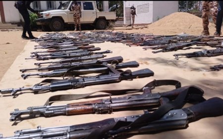 Tchad–RCA : opération conjointe, des armes saisies exposées