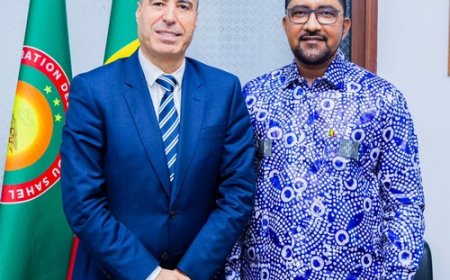 Diaspora :  Le ministère et Moov Africa Malitel unissent leurs efforts