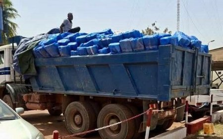 Protection de la santé publique : la Douane saisit 1 000 cartons de viandes avariées à Bamako